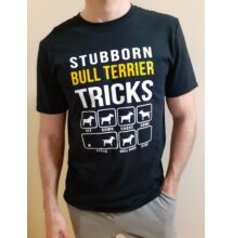 STUBBORN BULL TERRIER TRICKS